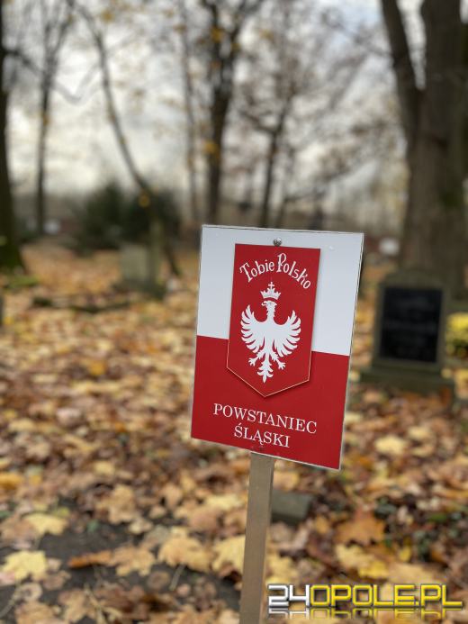 Cmentarz przy ul. Wrocławskiej będzie ocalony od zapomnienia (GALERIA)