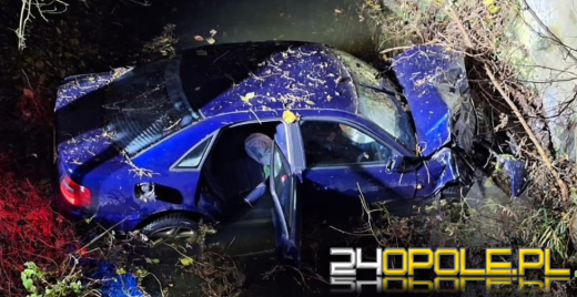 18-latek nie dostosował prędkości do warunków drogowych, skończył w rzece