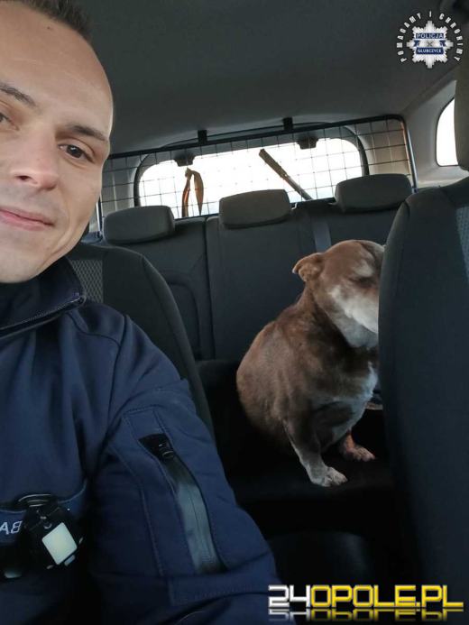 Policjant uratował wyziębionego i błąkającego się psa