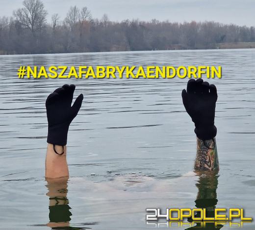 Opolskie morsy mają sposób na jesienno-zimową chandrę 