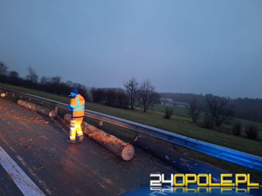 Bale drewna zablokowały przejazd na autostradzie