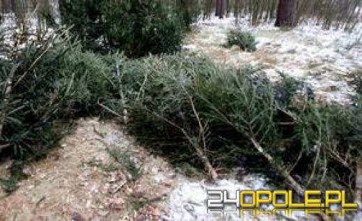  Nie daj się zrobić w choinkę