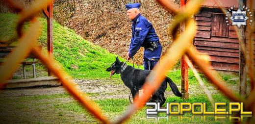 Funkcjonariusz Black bezbłędnie doprowadził do sprawcy włamania do mieszkania