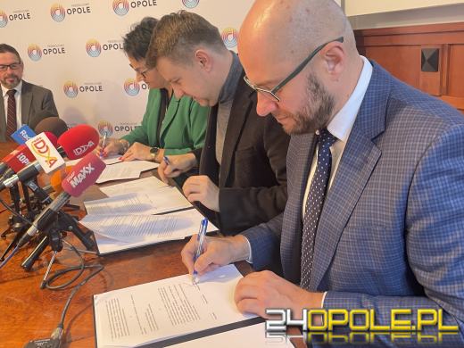 Do Opola powróci magia Grodu Piastowskiego