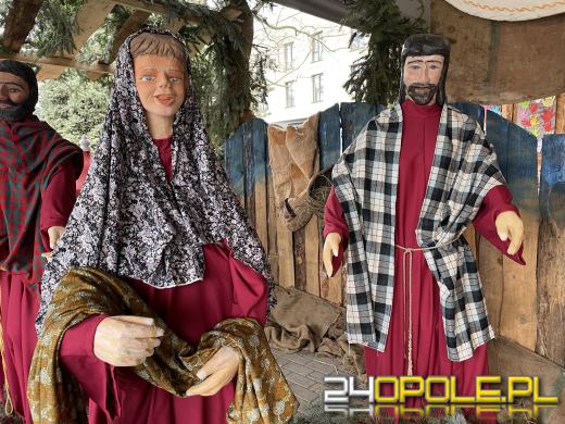 Dziś zakończy się budowa Szopki Bożonarodzeniowej w Opolu-Szczepanowicach