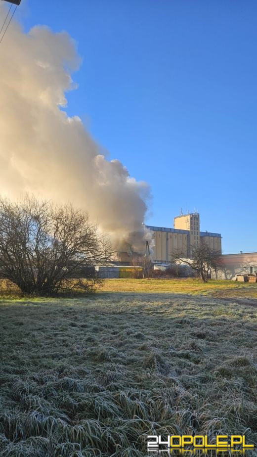 Pożar w zakładzie produkującym materace w Prudniku