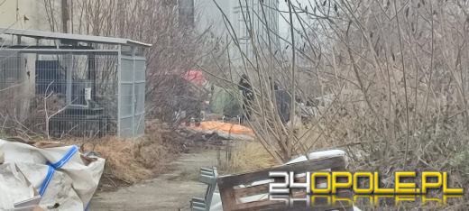 Na ulicy Światowida znaleziono ciało mężczyzny