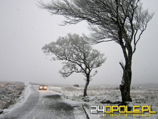 IMGW ostrzega: Silny wiatr na Opolszczyźnie