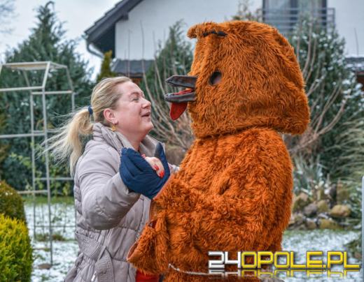 Wodzenie Niedźwiedzia - karnawałowa tradycja Opolszczyzny