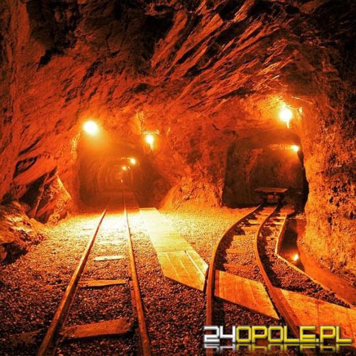 Wojewoda Opolska zaprasza turystów z całej Polski na Opolszczyznę