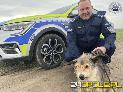 Policjanci swoją akcją znaleźli dom dla psich sierot