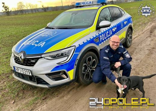 Policjanci swoją akcją znaleźli dom dla psich sierot
