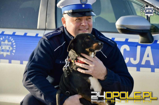 Policjanci swoją akcją znaleźli dom dla psich sierot