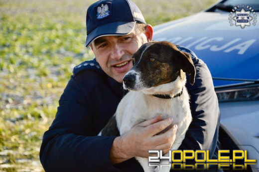 Policjanci swoją akcją znaleźli dom dla psich sierot