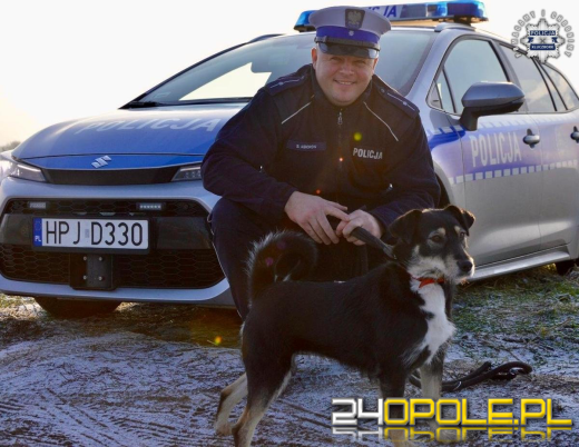 Policjanci swoją akcją znaleźli dom dla psich sierot