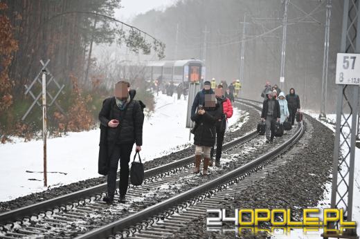 Zderzenie pociągu z samochodem w Nowej Schodni (AKTUALIZACJA)