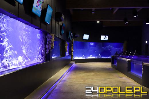 Zoo Opole z rekordową liczbą odwiedzin w 2024 roku!