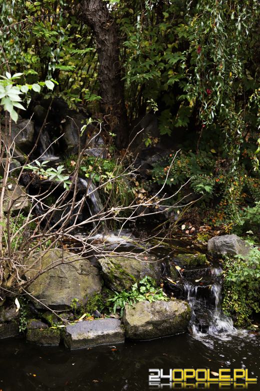 Zoo Opole z rekordową liczbą odwiedzin w 2024 roku!