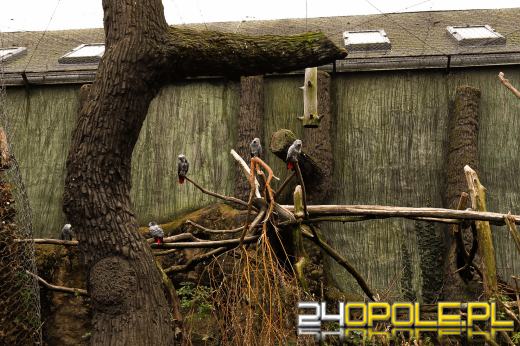 Zoo Opole z rekordową liczbą odwiedzin w 2024 roku!