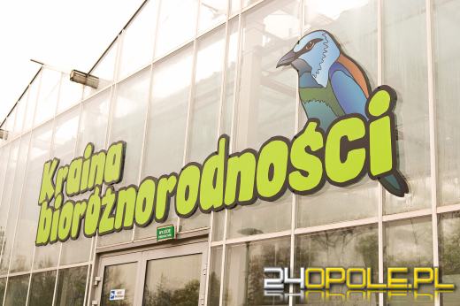 Zoo Opole z rekordową liczbą odwiedzin w 2024 roku!