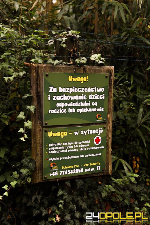 Zoo Opole z rekordową liczbą odwiedzin w 2024 roku!