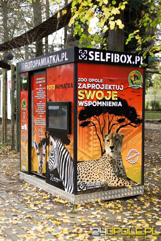 Zoo Opole z rekordową liczbą odwiedzin w 2024 roku!