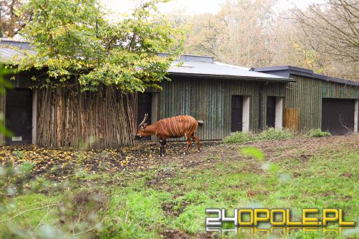 Zoo Opole z rekordową liczbą odwiedzin w 2024 roku!