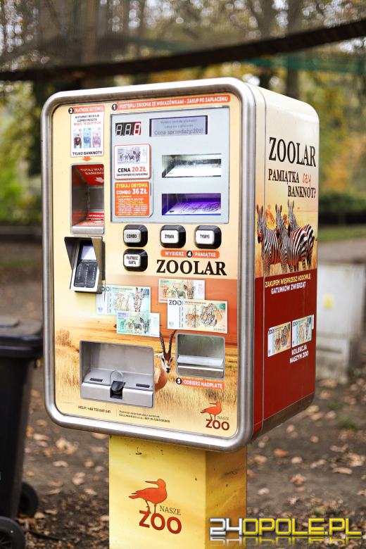 Zoo Opole z rekordową liczbą odwiedzin w 2024 roku!