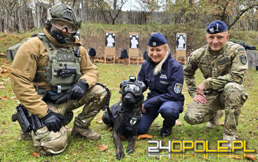 To oni są na pierwszej lini frontu