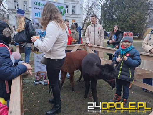 33. Finał WOŚP w pełni - otwartych serc nie brakuje