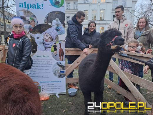 33. Finał WOŚP w pełni - otwartych serc nie brakuje