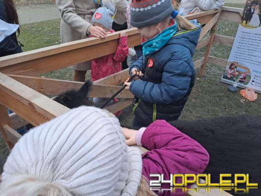 33. Finał WOŚP w pełni - otwartych serc nie brakuje