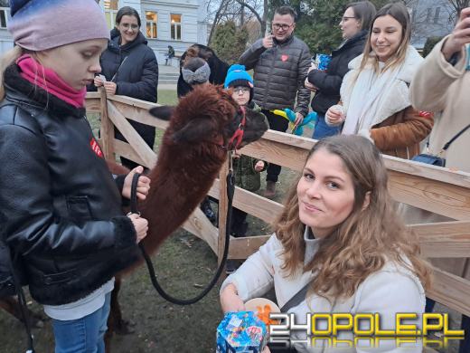 33. Finał WOŚP w pełni - otwartych serc nie brakuje