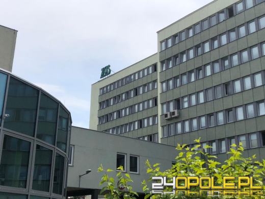 ZUS podwójnie wypłaci 800 plus w lutym. Sprawdź harmonogram przelewów