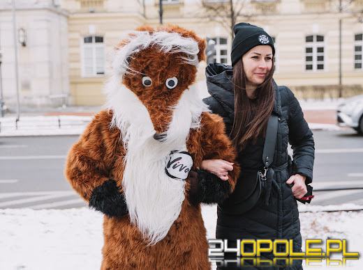 Kilka tysięcy pocztówek od miłośników zwierząt trafiło do rąk Donalda Tuska