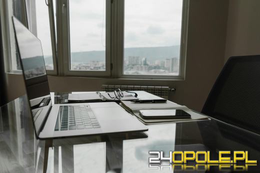 Reklamy w Opolu - na co powinni zwrócić uwagę przedsiębiorcy i właściciele nieruchomości?