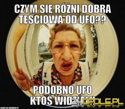 Dziś obchodzimy wyjątkowe święto - Dzień Teściowej