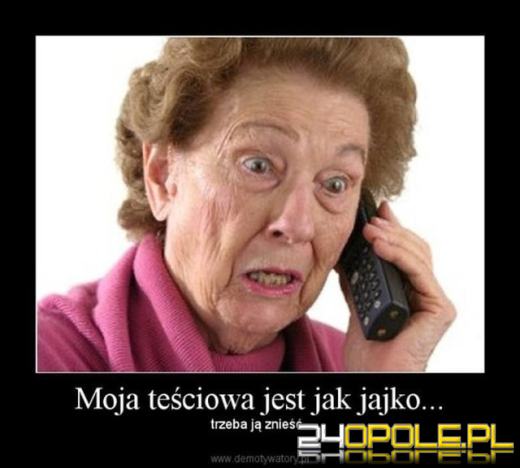 Dziś obchodzimy wyjątkowe święto - Dzień Teściowej