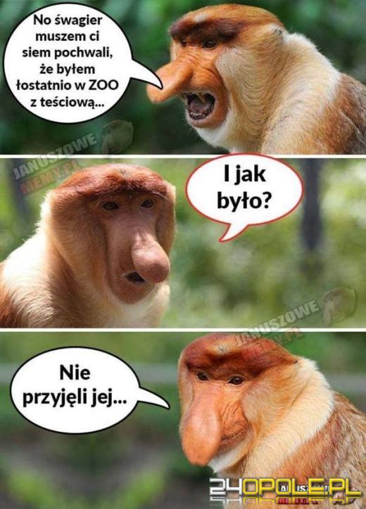 Dziś obchodzimy wyjątkowe święto - Dzień Teściowej