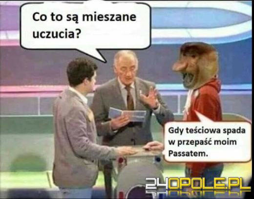 Dziś obchodzimy wyjątkowe święto - Dzień Teściowej