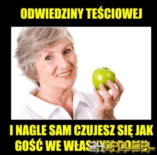Dziś obchodzimy wyjątkowe święto - Dzień Teściowej