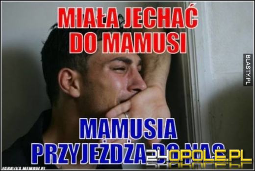 Dziś obchodzimy wyjątkowe święto - Dzień Teściowej