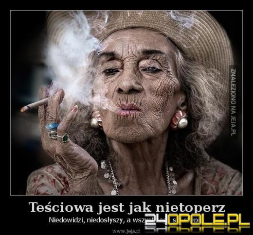 Dziś obchodzimy wyjątkowe święto - Dzień Teściowej