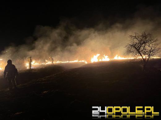 Są pierwsze ofiary śmiertelne pożarów traw