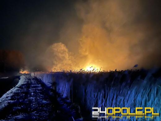 Są pierwsze ofiary śmiertelne pożarów traw