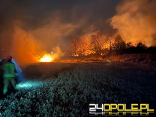 Są pierwsze ofiary śmiertelne pożarów traw