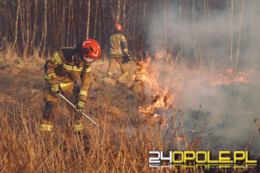 Są pierwsze ofiary śmiertelne pożarów traw