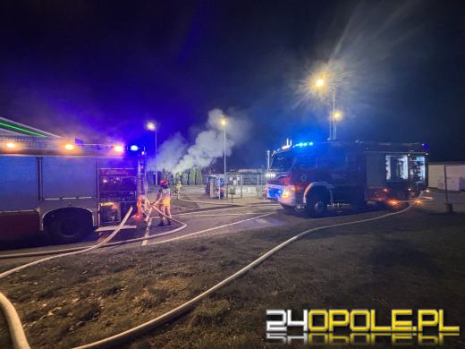 Pożar altany w pobliżu stacji benzynowej w Kędzierzynie-Koźlu