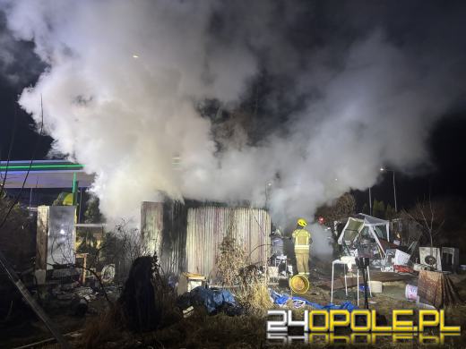 Pożar altany w pobliżu stacji benzynowej w Kędzierzynie-Koźlu