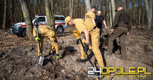 Blisko 10 tysięcy drzew na nowe stulecie